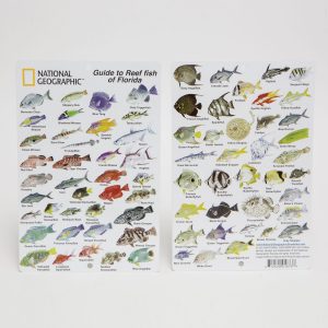 FISH ID CARD - FLORIDA REEF FISH