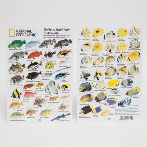 FISH ID CARD - AUSTRALIA BARRIER REEF, CORAL SEA & FIJI REEF FISH